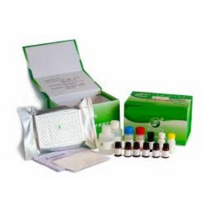 FMD (NSP) AB Elisa Test Kit